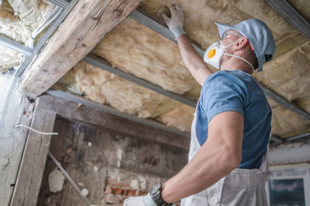 Best Insulation Inspection Services  in Stickney, IL