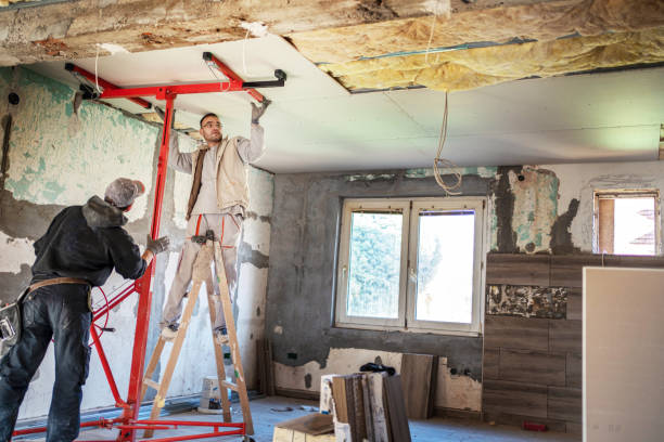 Best Home Insulation Services  in Stickney, IL