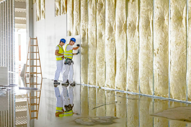 Best Spray Foam Insulation  in Stickney, IL